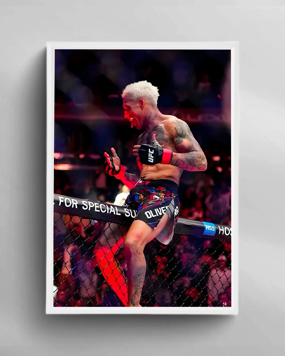 MMA Wandbild