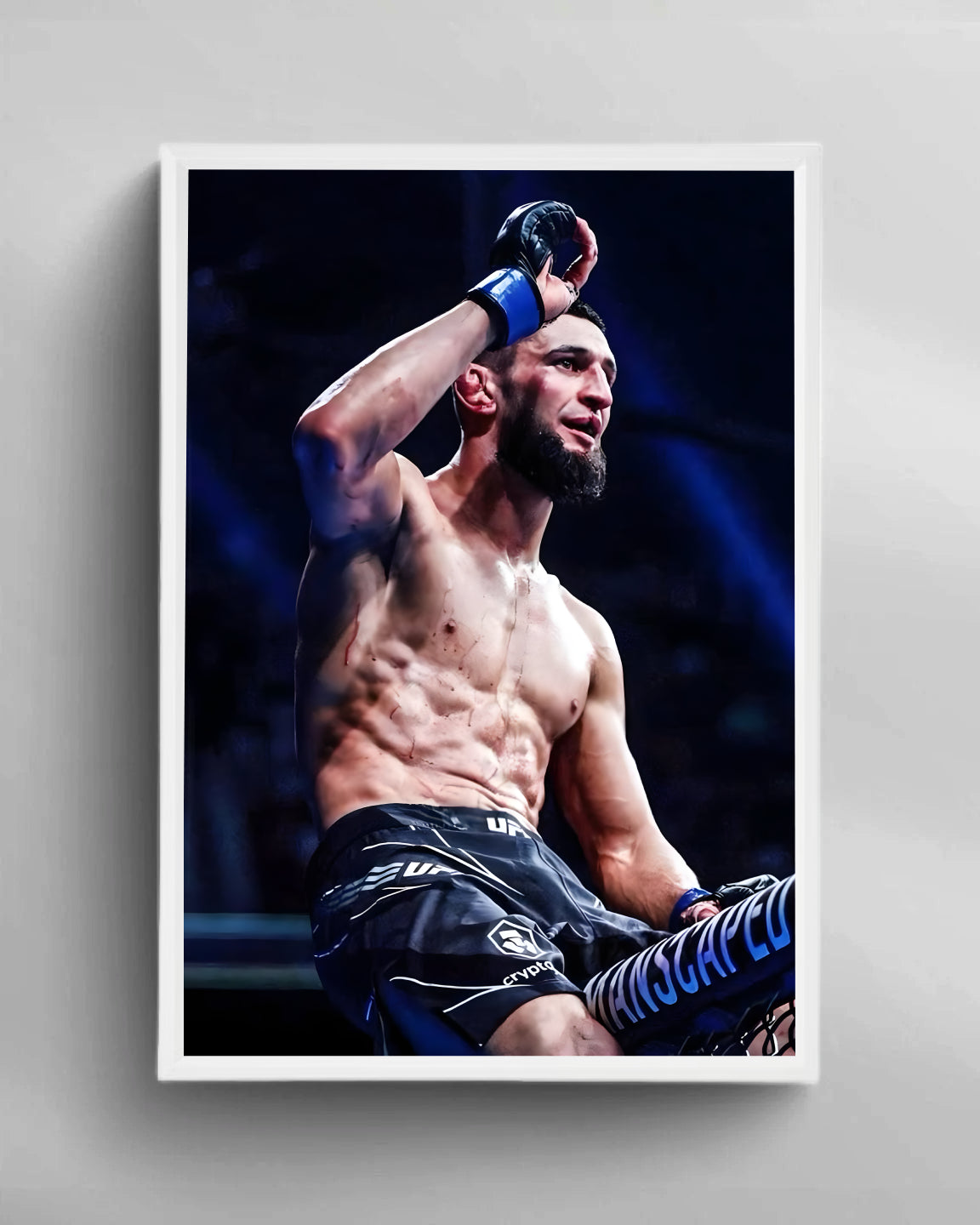 MMA Wandbild